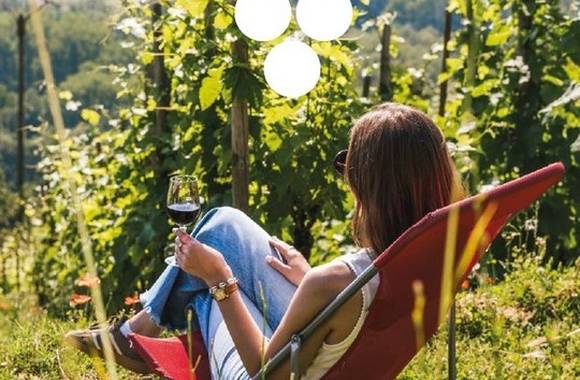 img-sejour-special-vignobles-en-scene