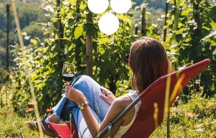 Photo of Séjour spécial "Vignobles en Scène"