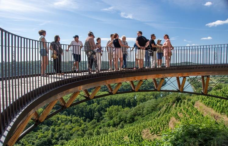 Photo of Séjour spécial "Vignobles en Scène"