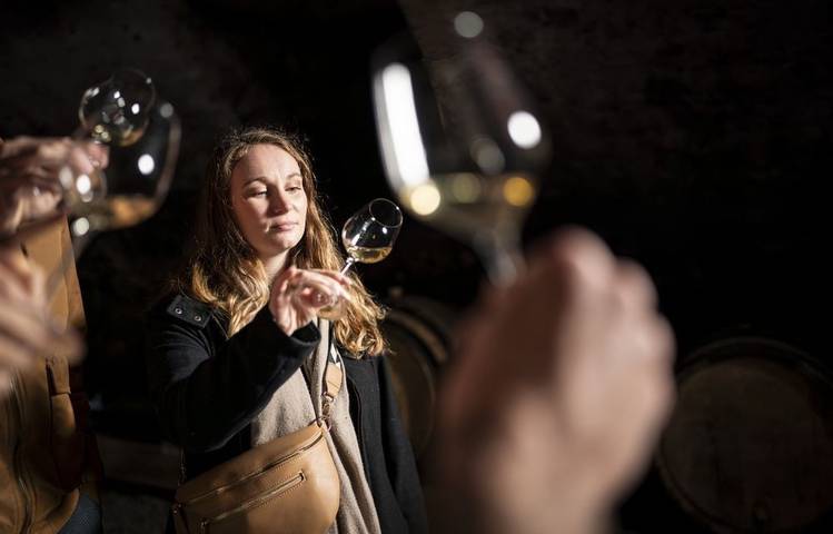 Photo of Séjour spécial "Vignobles en Scène"