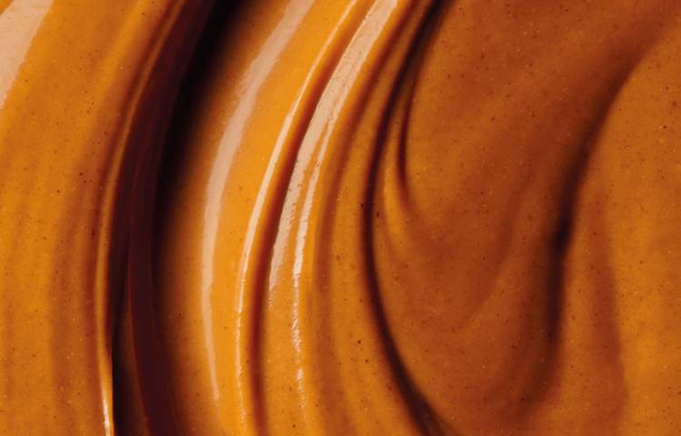 Photo of Les secrets du praliné racontés aux petits et aux grands - La Cité du Chocolat
