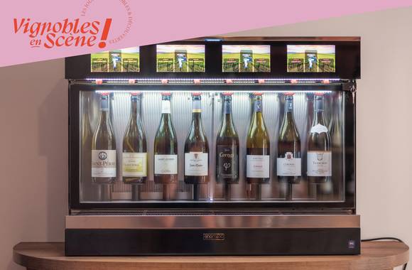 Dégustations flash à l'Enomatic de la Maison des Vins