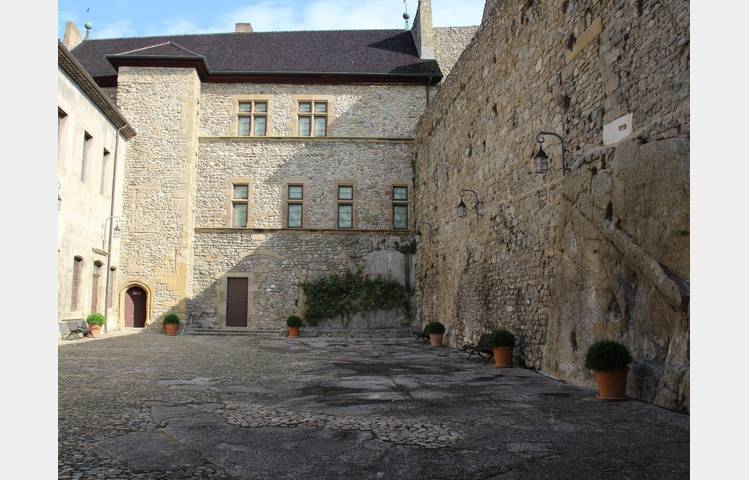 image de Castle of  Tournon sur Rhône