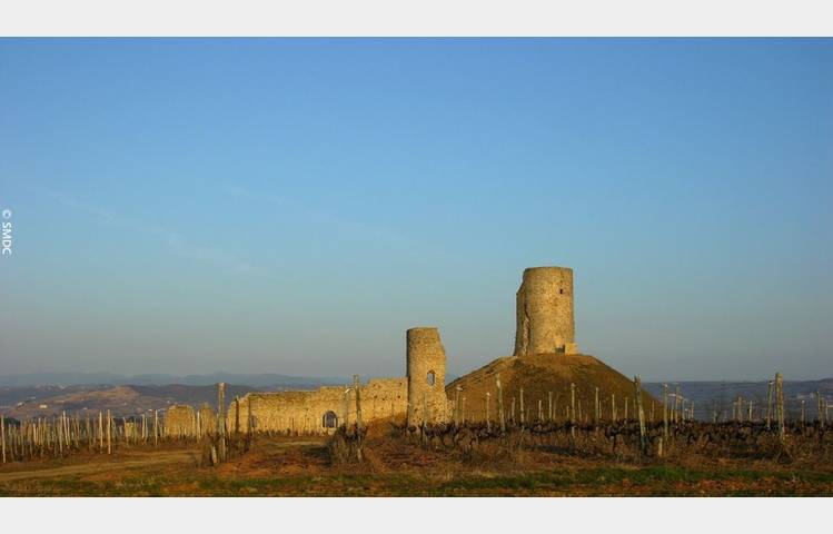 image de Hiking Trail: "The Mercurol Heights"