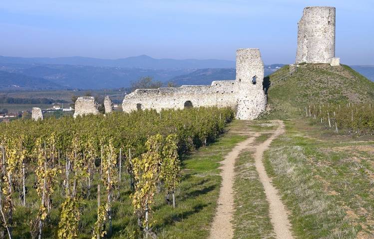 Photo of Hiking Trail: "The Mercurol Heights"