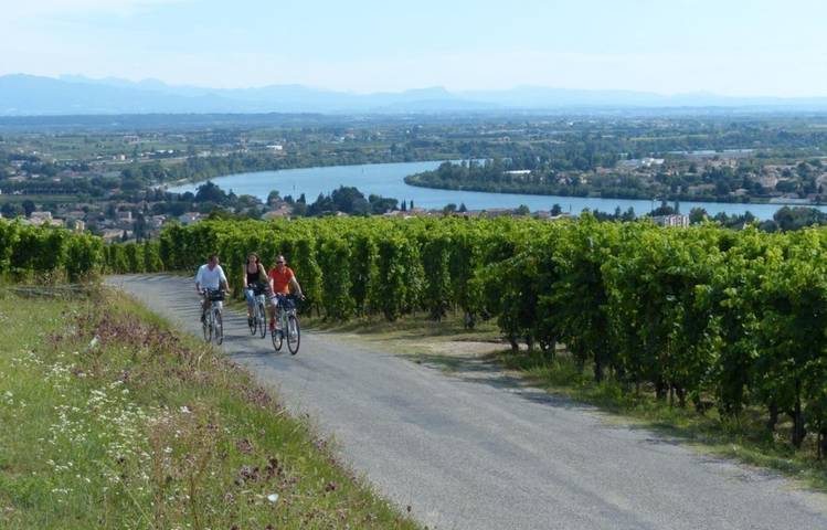 Photo of Balades viticoles en vélo électrique