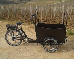 Balades viticoles en vélo électrique