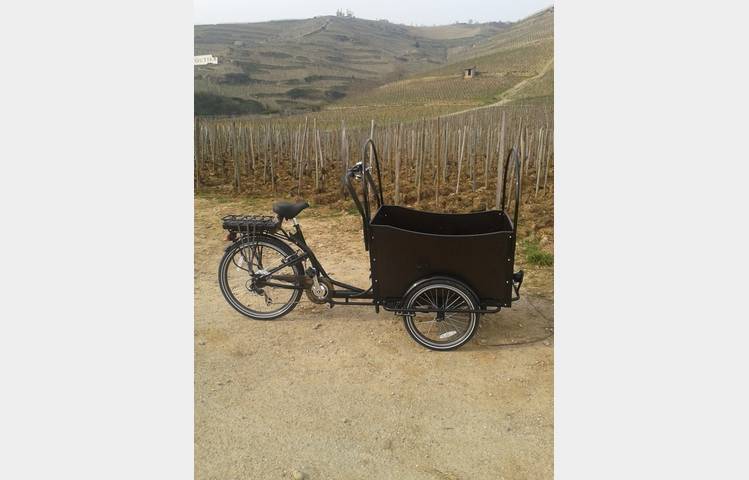 image de Wine tours on an electric bike