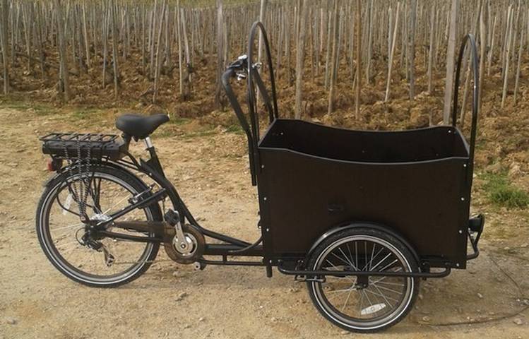 Photo of Balades viticoles en vélo électrique
