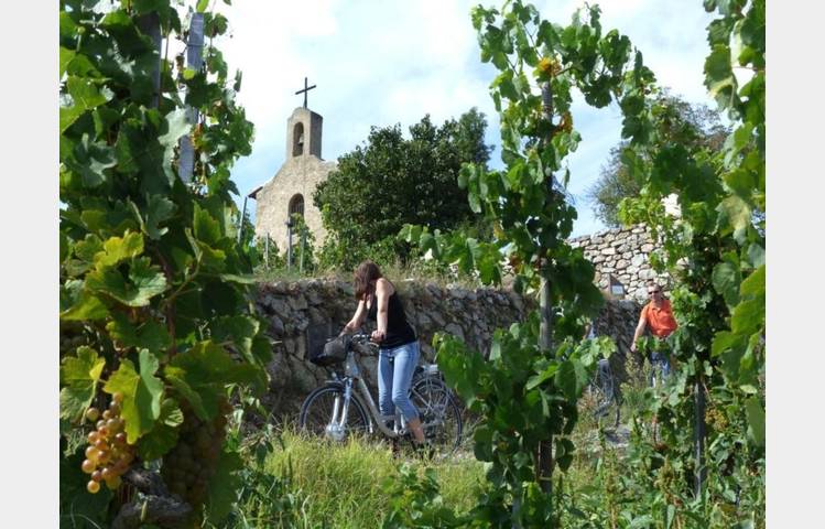image de Wine tours on an electric bike