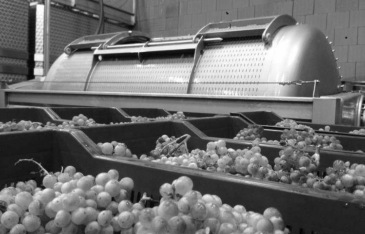 Photo of Domaine Melody