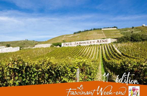 visit of the vineyards and wine tasting - Fascinant week-end Vignobles & Découvertes