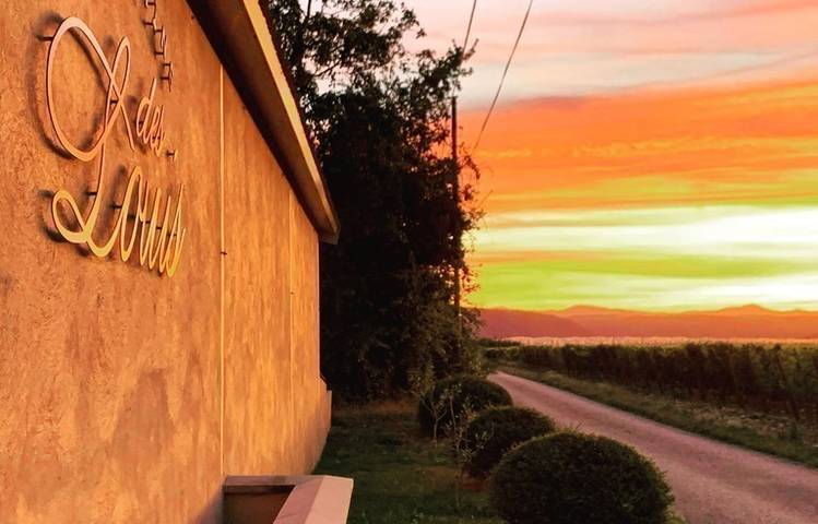 Photo of Domaine des Louis