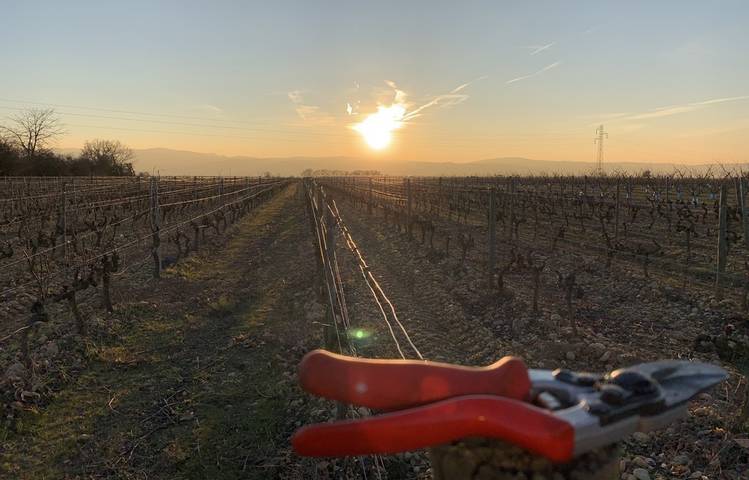 Photo of Domaine des Louis