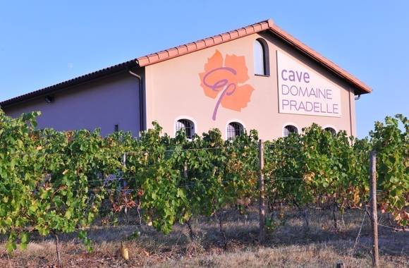 img-domaine-pradelle-wine-cellar
