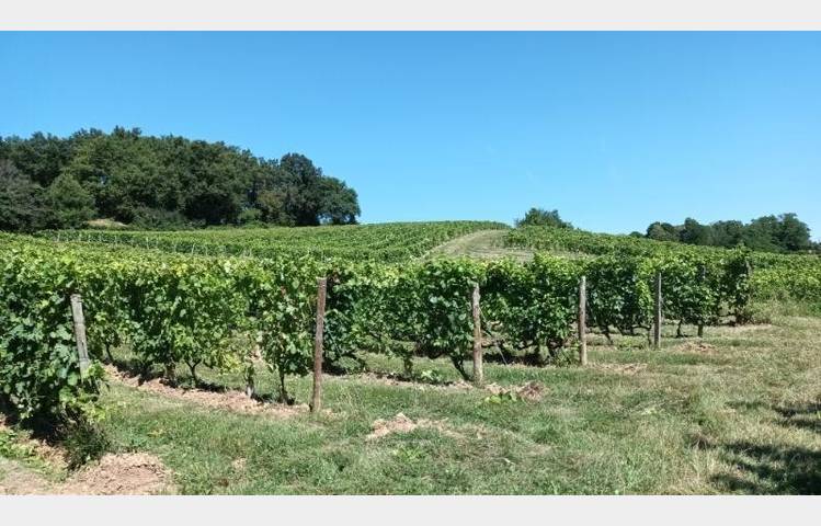 image de Domaine Pradelle wine cellar
