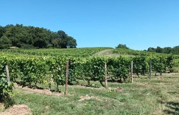 Photo of Domaine Pradelle