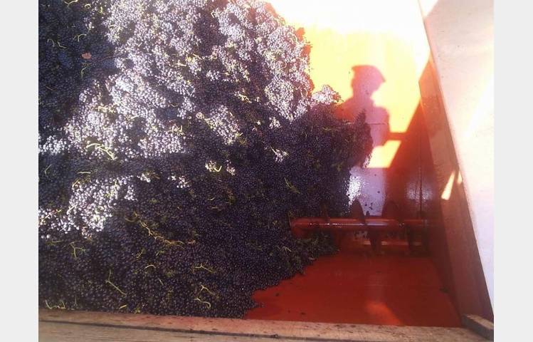 image de Domaine Pradelle wine cellar