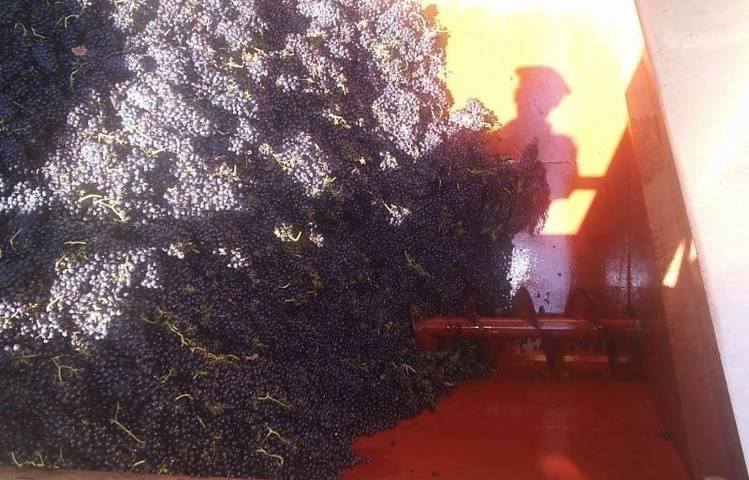 Photo of Domaine Pradelle