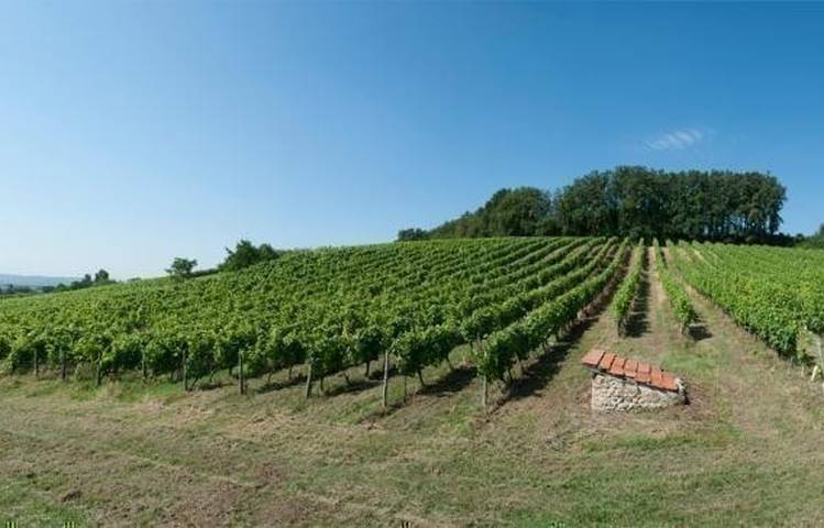 Photo of Domaine Pradelle