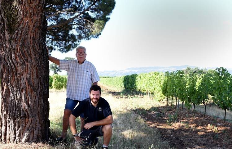 Photo of Domaine Philippe et Vincent Jaboulet