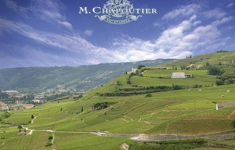 Photo of Wine cellar M. CHAPOUTIER
