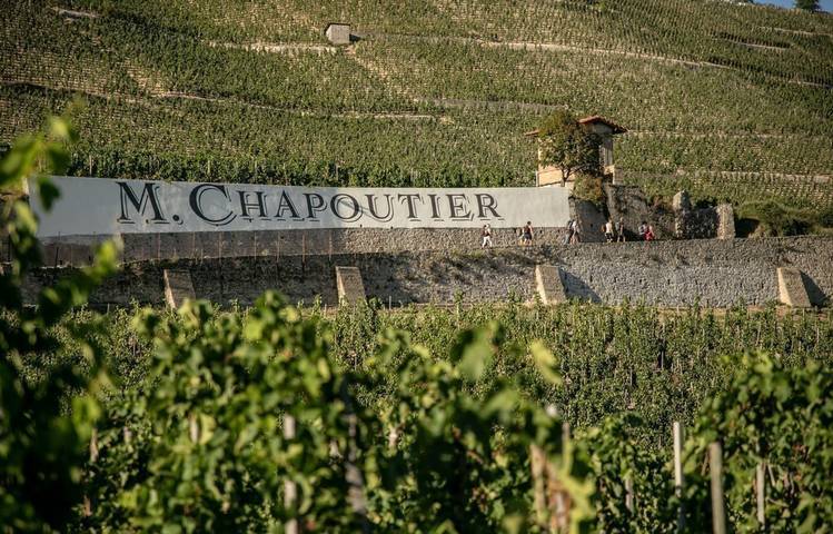 Photo of Wine cellar M. CHAPOUTIER