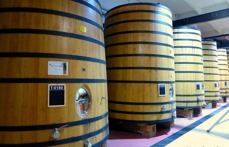 Photo of Cave de Tain (wine cellar)