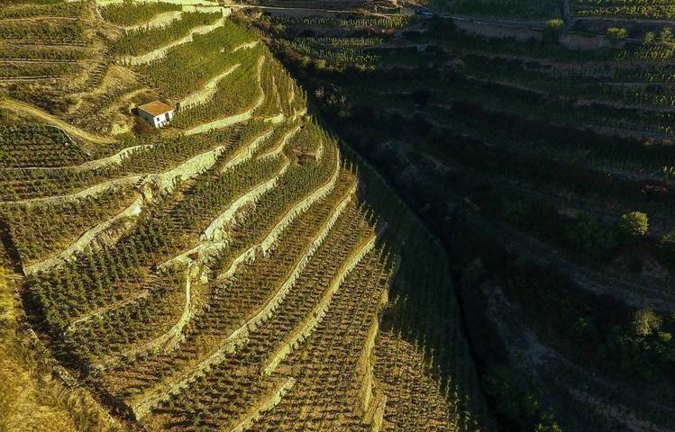 Photo of Cave de Tain (wine cellar)