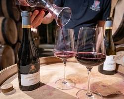 Cave de Tain (wine cellar)
