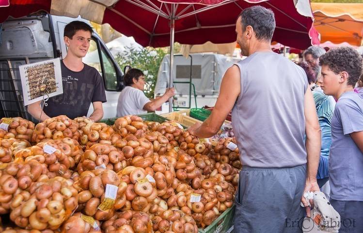 Photo of Onion Fair