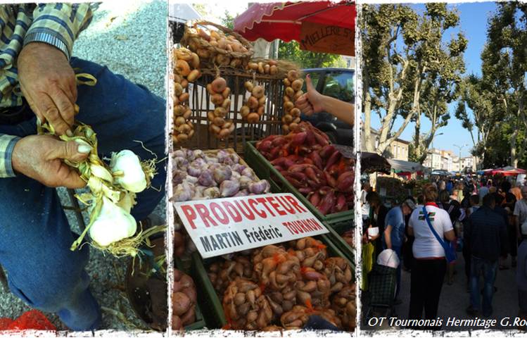 Photo of Onion Fair