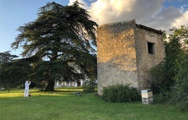 Photo of Château de Lemps