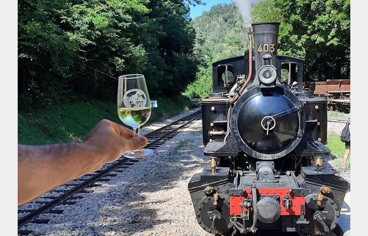 image de Wine tasting along the Doux river by the Train de l'Ardèche