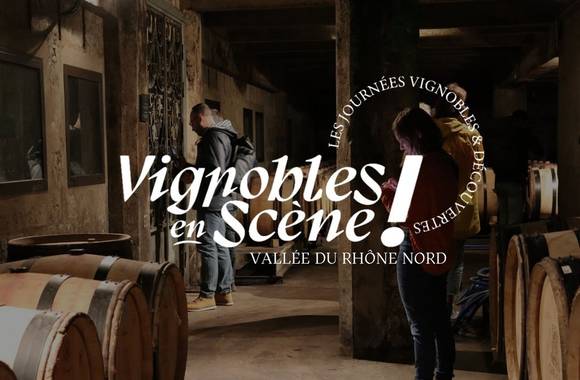 Vignoble en scène : Les Journées Vignobles & Découvertes - Vallée du Rhône Nord