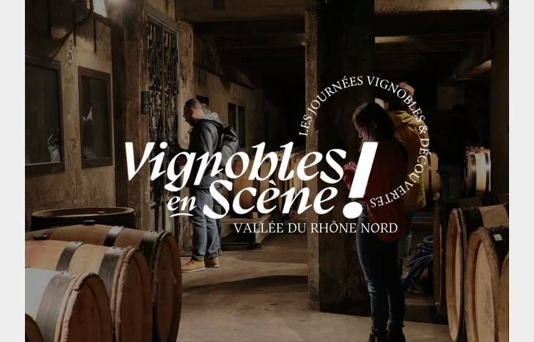 image de Vignoble en scène : Les Journées Vignobles & Découvertes - Vallée du Rhône Nord