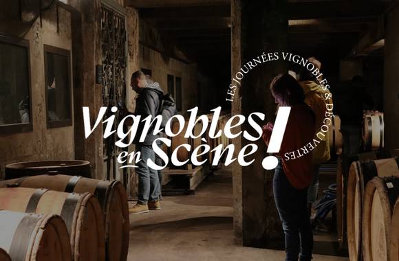 Vineyard on stage ! "Vignobles & Découvertes" - Northern Rhone Valley