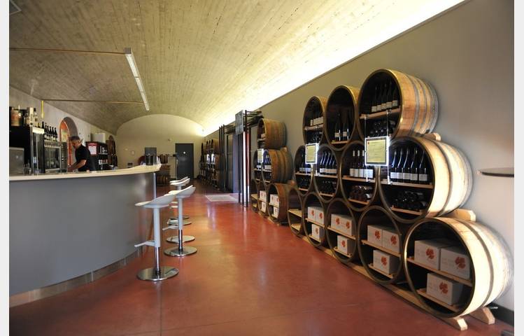 image de Guided tour and wine tasting at Pradelle cave